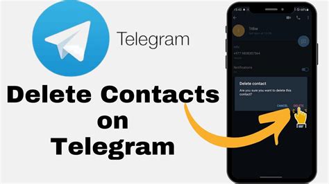 Telegram: Contact @isabel